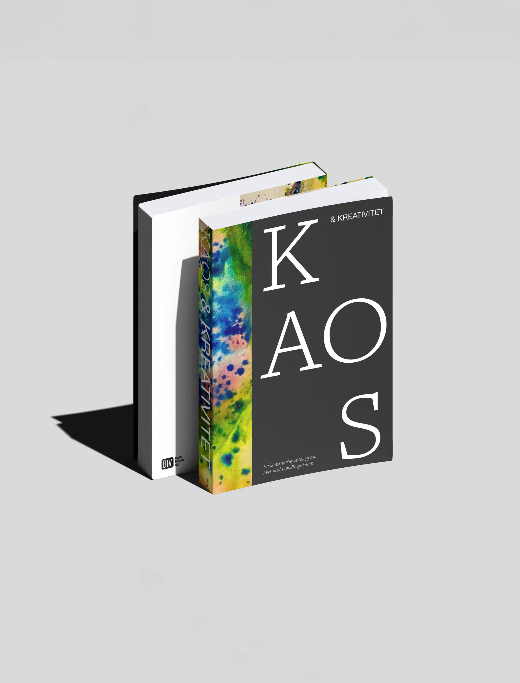 Omslaget till Kaos & Kreativitet